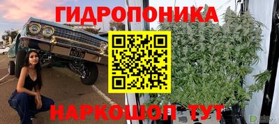 PSILOCYBIN Ковров