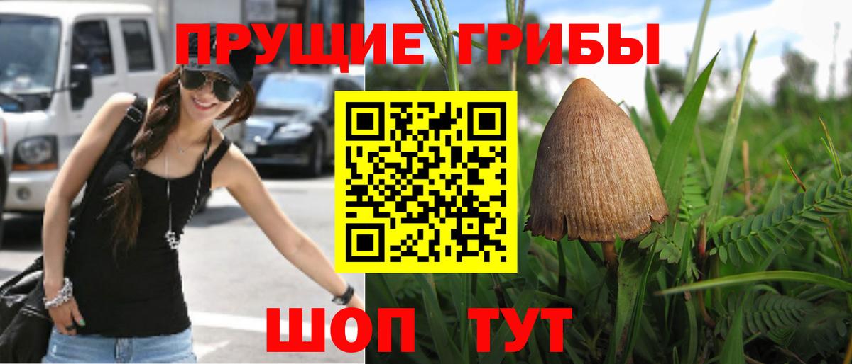Псилоцибиновые грибы MAGIC MUSHROOMS  Галлюциногенные грибы прущие грибы  Реж  Вход с VPN 